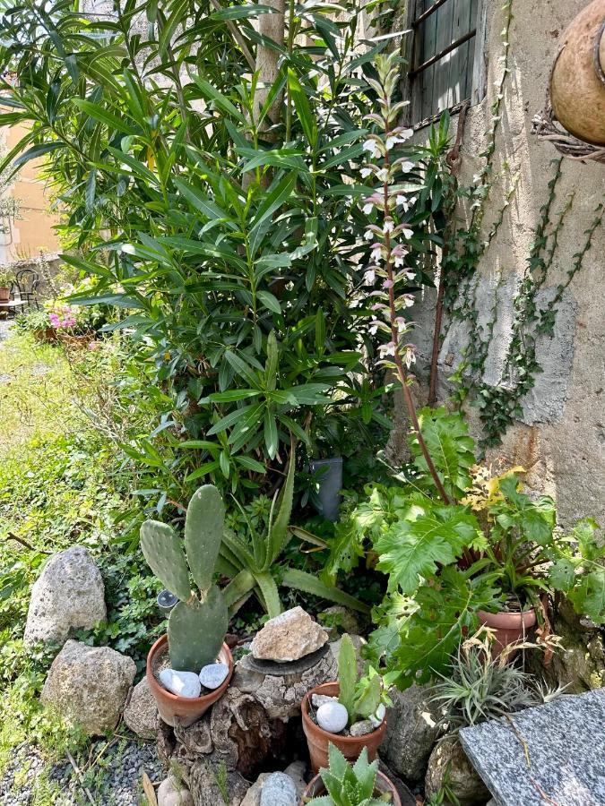 Out Finish Villa Cassi Finale Ligure Exterior foto